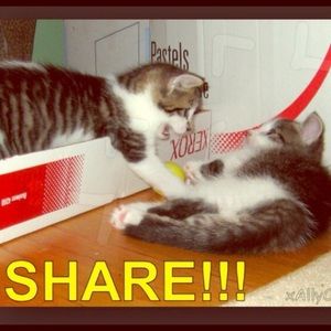 Why Did I Not Share Back? 🧐🤔